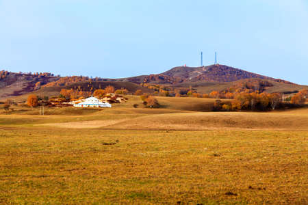 Ulan Buh general Nur grassland autumn Mongolia package white birchの写真素材
