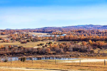Autumn grassland, lakes, trees, red leaves in Ulanの写真素材