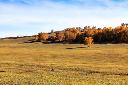 Autumn color of Ulan grassland in Inner Mongoliaの写真素材