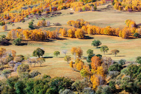 Toad dam autumn grassland scenery colorful treesの写真素材