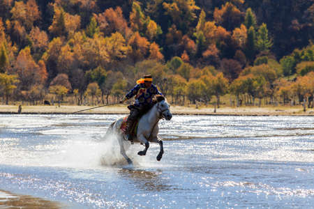 Performance of horse riding on a prairie grassland scenery during autumnのeditorial素材