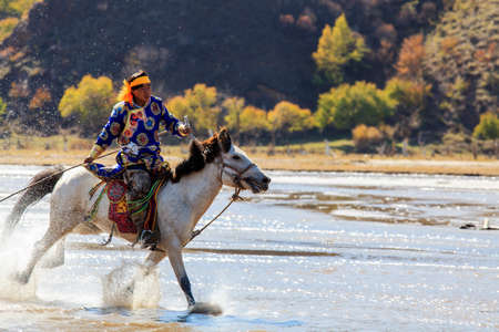 Inner Mongolia Wrangler horseのeditorial素材