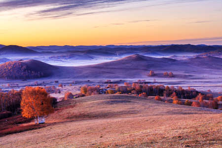 The Aobaotu morning autumn birch mountain grassland