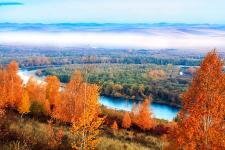inner mongolia wetland in autumnの写真素材