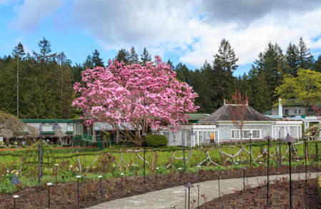 Peach blossom building in Buchalter Gardenのeditorial素材