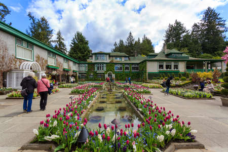 Buchalter garden flower pool tulip touristのeditorial素材