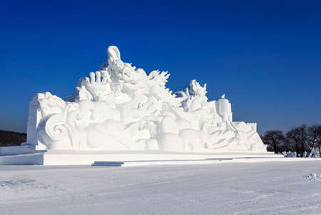 Large dragon fly snow artのeditorial素材