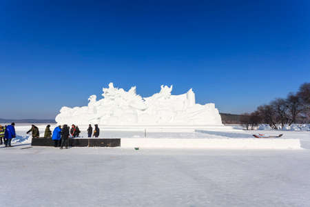 Large snow dragon fly snow art