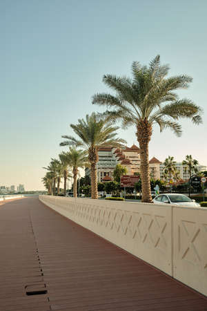 Palm trees grow on waterfront on Palm Jumeirah artificial island in Dubai UAE. One board is broken on embankment.の写真素材