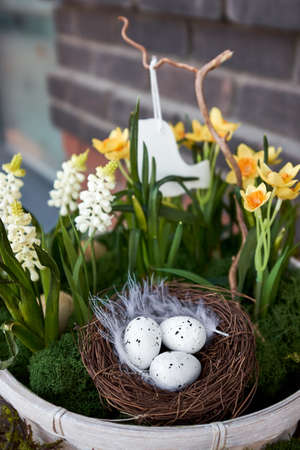 Three small decorative eggs lie in nest of twigs, spring flowers, daffodils, snowdrops grow around.