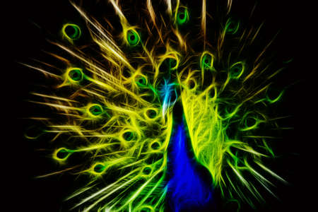 Abstract image peacock dark retro color background wallpaper illustration flame stockの写真素材