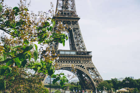 The Eiffel Tower in Paris, France. Eiffel Tower, the symbol of Paris. Eiffel Tower in spring time....
