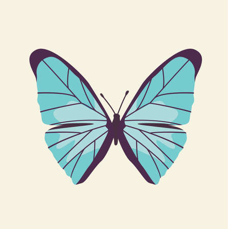 Colorful butterfly. Butterfly design. Cute butterfly Vector stock.のイラスト素材