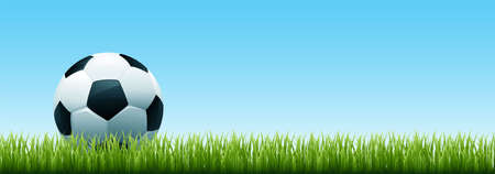Soccer ball in the grass. Banner of soccer ball on green grass. Football concept. Vector stockのイラスト素材