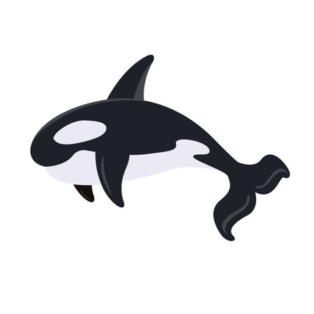 Cartoon killer whale isolated on white background. Cute whale. Killer whale sea animal. Vector stockのイラスト素材