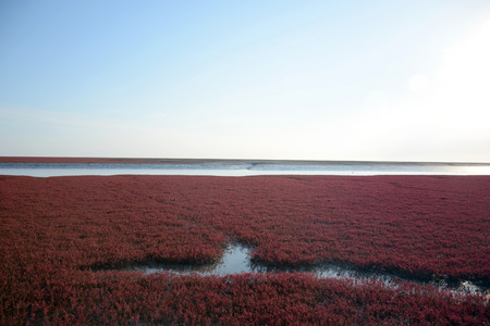 Red Beachの写真素材
