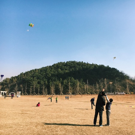 fly a kiteの写真素材