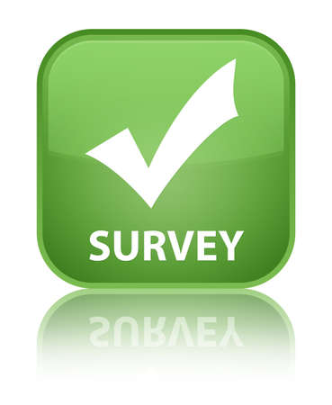 Survey (validate icon) soft green square buttonの写真素材