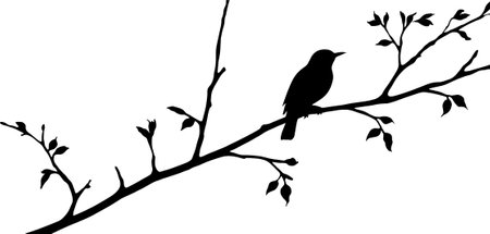Bird silhouette on a tree branch. Vector illustration. Black silhouette.のイラスト素材