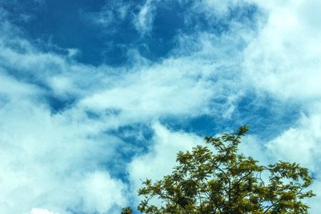 Blue sky with white clouds and green tree. Abstract nature background.の写真素材