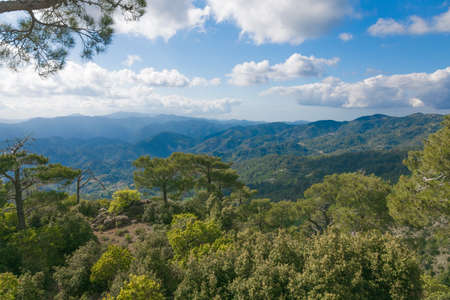 The view of Troodos mountains from top. With cedars on the foregroundの写真素材