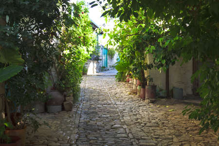 Many flowers and greens on the stones wall of the ancient street, Cyprusの写真素材