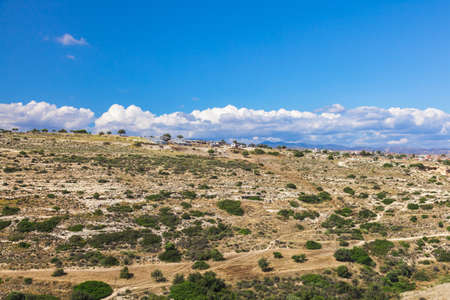 Yellow field with green bushes panorama, Cyprusの写真素材