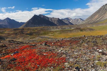 Colorful autumn tundra and river in Chukotka, Russiaの写真素材