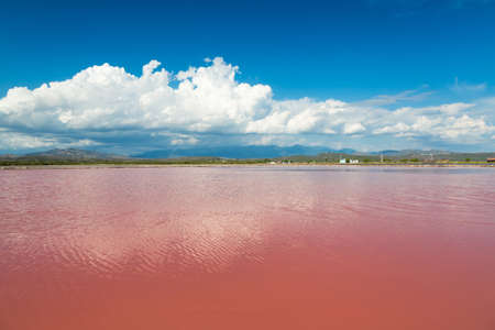 Pink water salt lake in Dominican Republicの写真素材