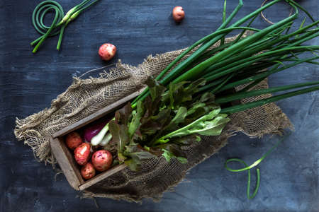Fresh potatoes, chives and letucce for cooking on dark background, top view