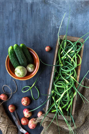 Fresh garlic scapes, potatoes and cucumbers, top view, place for textの写真素材