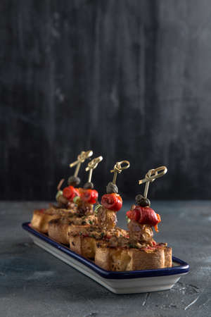 Tuna Tapenade on Lightly Toasted Baguette with pepper, onion and capers.の写真素材