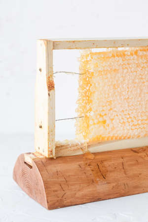 Honeycomb in wooden frame close view, white background