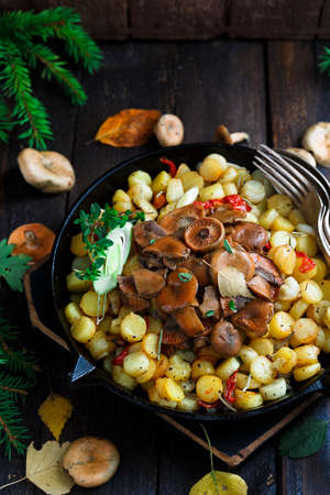 Saffron milk cap mushrooms with fried potatoes, rustic styleの写真素材