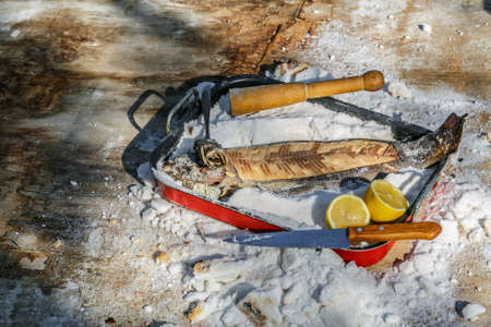 cooking Fish under the salt Crust. Summer lunch. healthy food rustic style.
