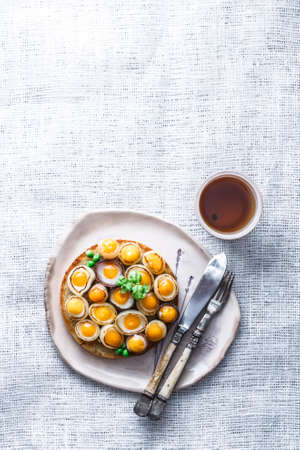 Toasted bread with quail egg and onion for breakfast, copy space.の写真素材