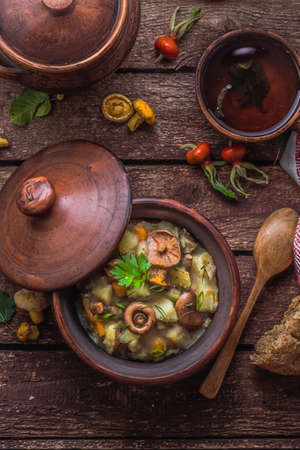Vegetarian ragout with potato and forest mushrooms, rustic styleの写真素材