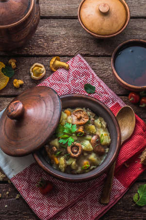 Vegetarian potato and mushrooms stew in a clay pot, copy space