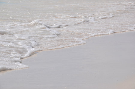 Soft waves of the sea on the sandy beach. Nature background.