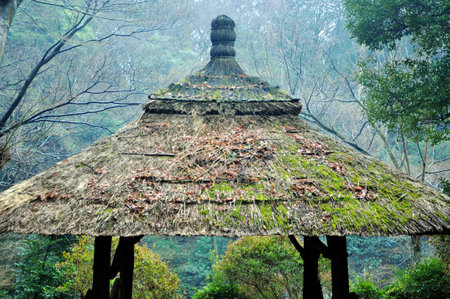 Tokyo thatched roof in Japanの写真素材