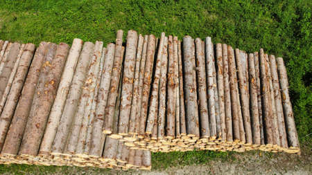 Pile of wood in the forest drone shot