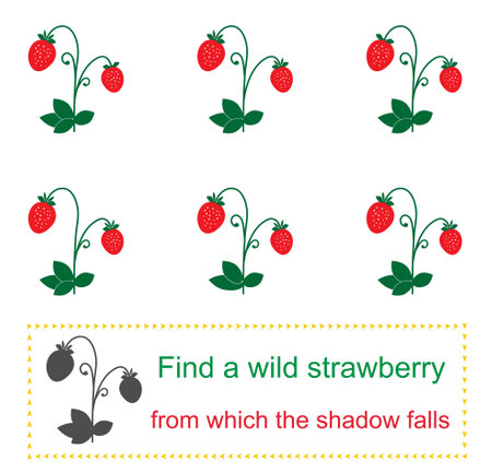 Educational game for kids. Task for attention. Find a wild strawberry from which the shadow falls. vector illustration. flat design.のイラスト素材