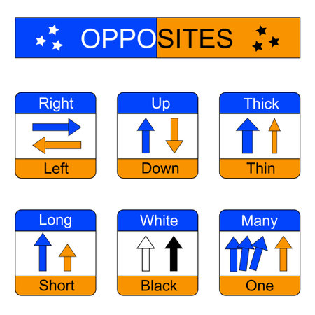 Educational material for kids opposites words: thick thin, right left, up down, black white, long short, many one. learning cards. vector illustration.のイラスト素材