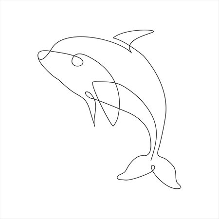 continuous line drawing of a dolphin. vector illustration on white backgroundのイラスト素材