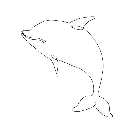continuous line drawing of dolphin on white background. vector illustration.のイラスト素材