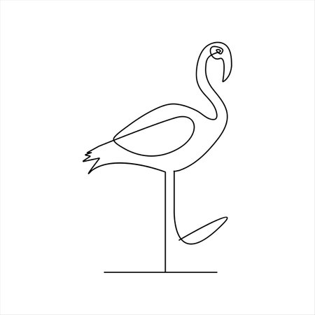 Continuous line drawing of flamingo. Vector illustration on white background.のイラスト素材