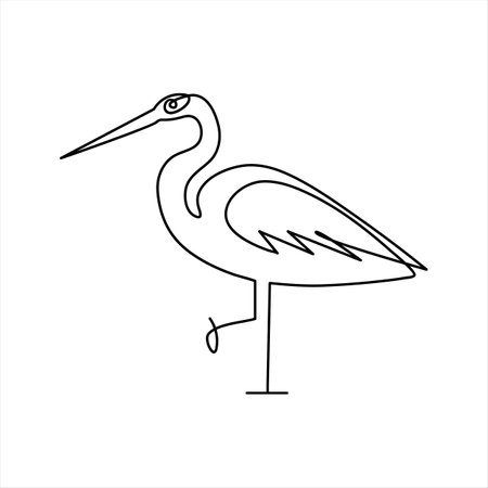 Vector illustration of a stork. Outline drawing of a stork.のイラスト素材