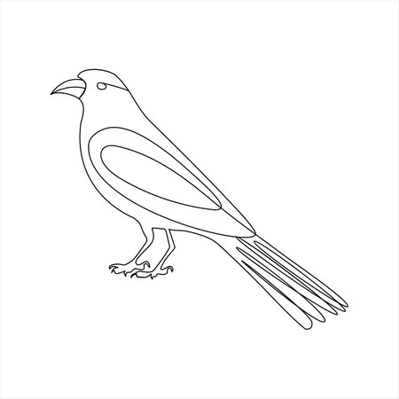 continuous line drawing of a bird on a white background. vector illustrationのイラスト素材