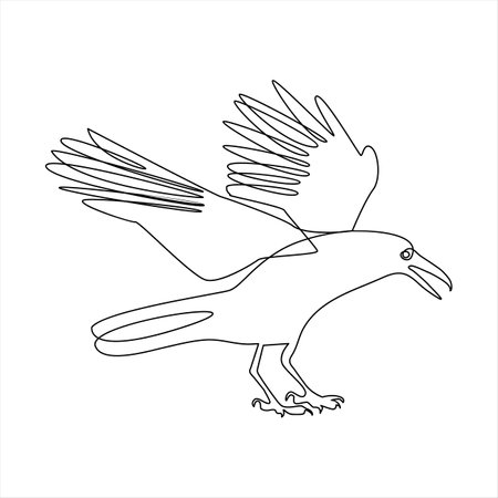 drawing of a crow on a white background. vector illustration.のイラスト素材