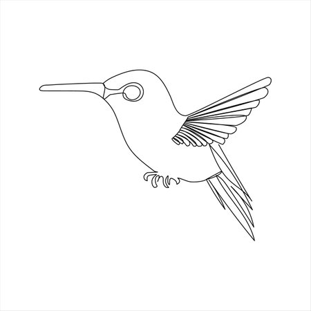 Continuous one line drawing of hummingbird. Vector illustration isolated on white background.のイラスト素材